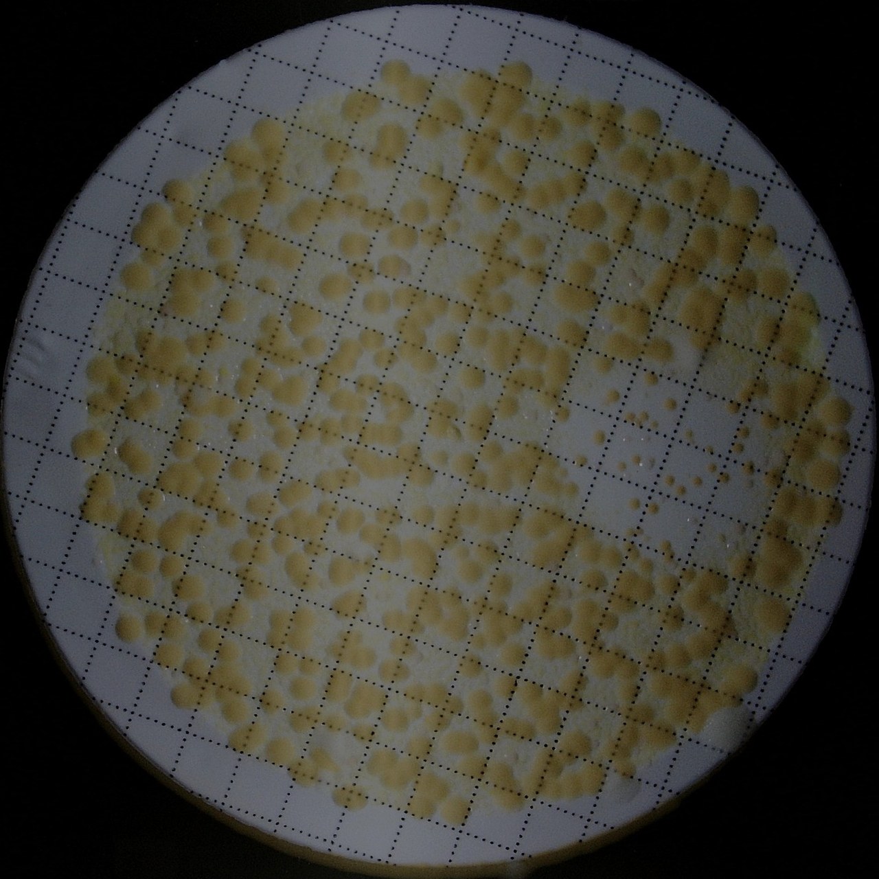 epi-illumination